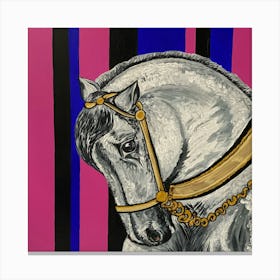 Horse With Bridle Canvas Print