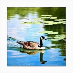 Canadian Goose In The Pond Photo Canvas Print