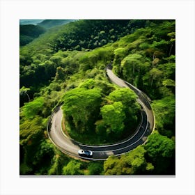 Treetop Car Scenic Tour Tourism Country Rural Green Zigzag Drive Road Background Topview (10) Canvas Print