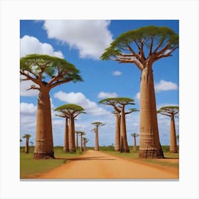 Baobab Trees Canvas Print