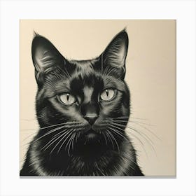 Black Cat Canvas Print