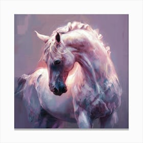 White Horse 4 Canvas Print