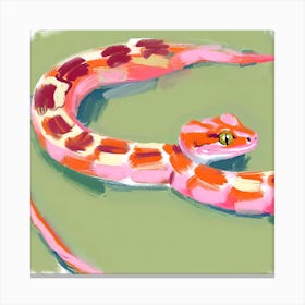 Red Tailed Boa Snake 03 Canvas Print
