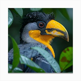 Horned Toucan Canvas Print