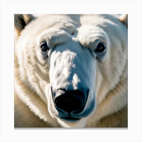 Polar Bear Canvas Print