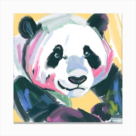 Giant Panda 08 Canvas Print