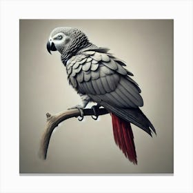 Parrot 16 Canvas Print