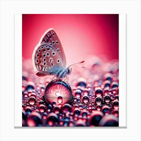 Butterfly On Water Droplets Canvas Print