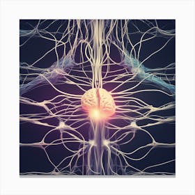 Brain And Nervous System 28 Canvas Print