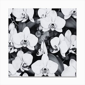 Orchids On Black Background Canvas Print