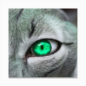 Emerald Eyes 4 Canvas Print