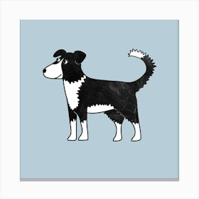 Border Collie Dog Canvas Print