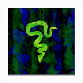 slitherin' snake Canvas Print