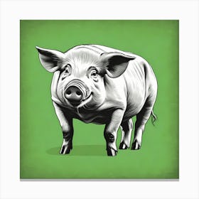Flat Art Pencil Sketch Pig On Solid green Background Canvas Print