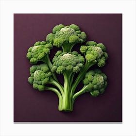 Broccoli On Purple Background 1 Canvas Print