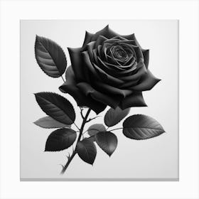 Black Rose 7 Canvas Print