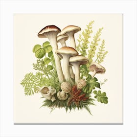 Puffballs under cover - mushroom art print - mushroom botanical print Canvas Print