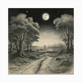 Moonlight Road Canvas Print