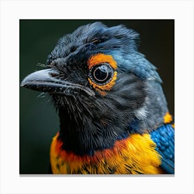 Bird'S Head Canvas Print