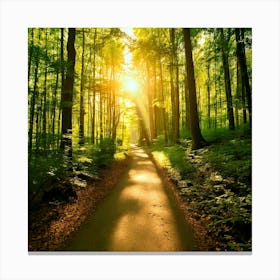 Firefly Sunlit Path Forest Background 54189 Toile