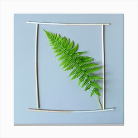 Fern In Frame Botanical Photography Canvas Print