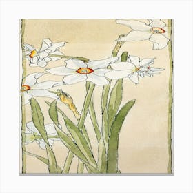 Daffodils Canvas Print