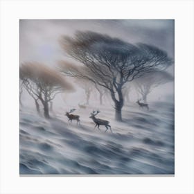 Winter in the forest Canvas Print