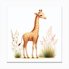 Giraffe Canvas Print