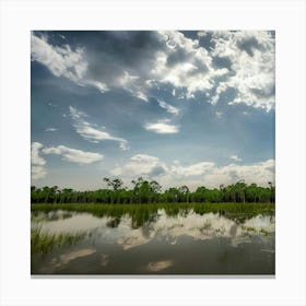 Reflection In A Swamp Canvas Print