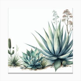 Agave 1 Canvas Print