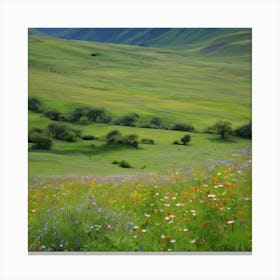 Wildflowers In The Mountains art print Canvas Print