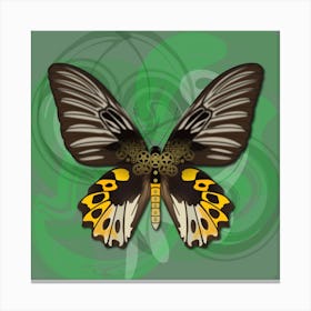 Mechanical Butterfly The Rippon S Birdwing Techno Troides Hypolitus On A Green Background Canvas Print