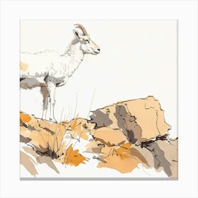 Mountain Goat Canvas Print