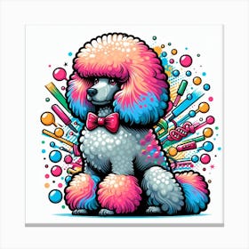 English groomed Poodle 3 Canvas Print