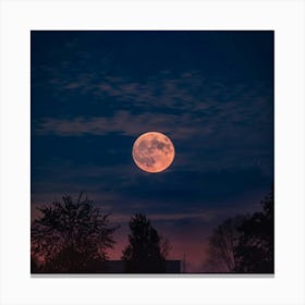 Full Moon Canvas Print