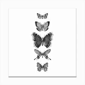 Inked Butterflies Bw Square Canvas Print