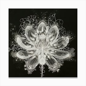 Lotus 1 Canvas Print