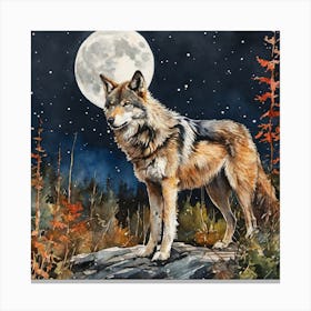 Wolf At Night Canvas Print