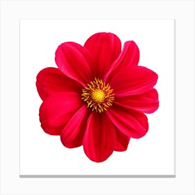 Red flower design Canvas Print