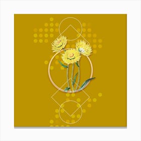 Vintage Helichrysum Flower Branch Botanical with Geometric Line Motif and Dot Pattern Canvas Print