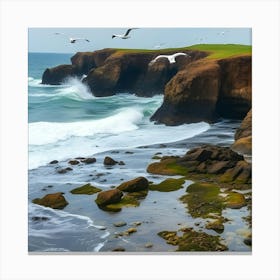 Cliffs And Seagulls Canvas Print