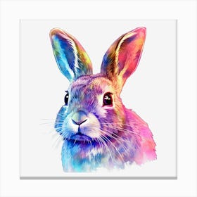 Colorful Bunny Canvas Print