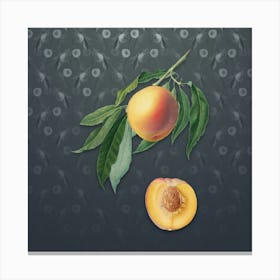 Vintage Peach Botanical on Slate Gray Pattern n.0283 Canvas Print