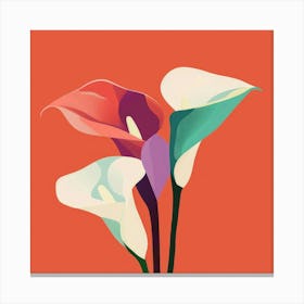 Calla Lily 5 Canvas Print