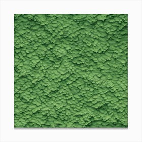 Green Wall Texture Canvas Print