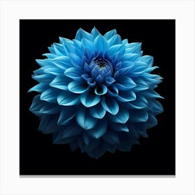 Blue Dahlia 1 Canvas Print