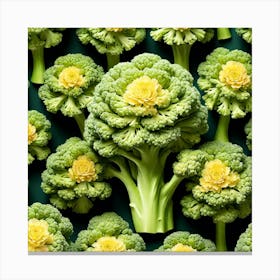 Florets Of Broccoli 36 Canvas Print