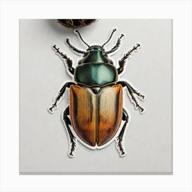 Beetle Canvas Print