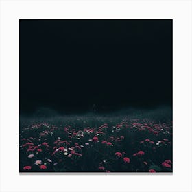 Dark Field Of Flowers Canvas Print