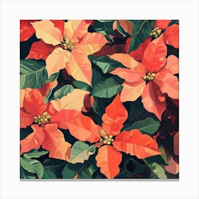 Poinsettia 1 Canvas Print